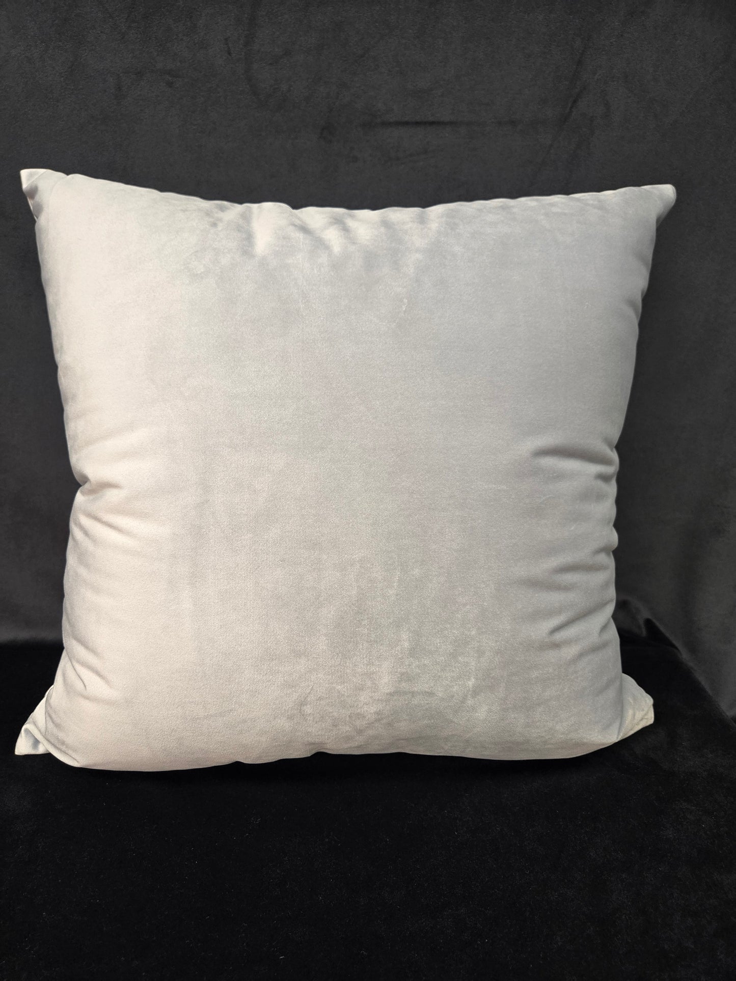 Sterling Silver Throw Pillow | Luxurious Metallic Accent Cushion for Modern Decor | All Sizes